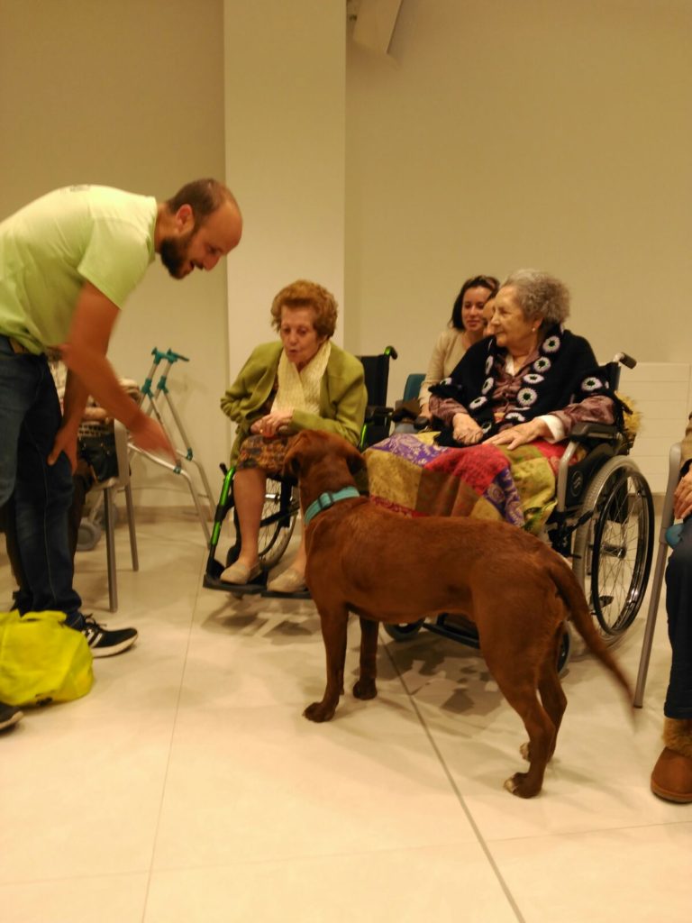¡Cómo disfrutamos con la terapia asistida con perros! Fray Leopoldo ¡Cómo disfrutamos con la terapia asistida con perros! Fray Leopoldo